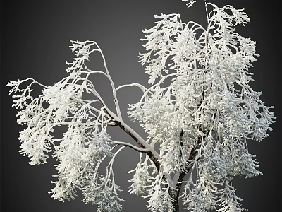 Snow Covered Arbor with Frosted Branches and White Snow in Winter Natural Scene 3d model