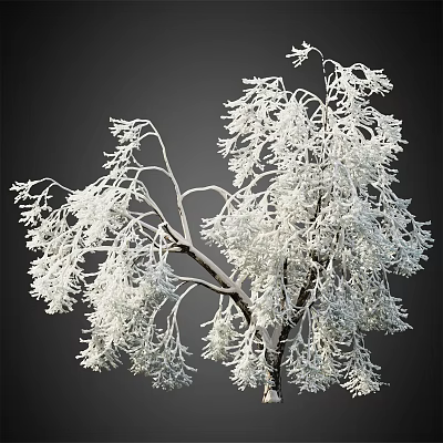 Snow Covered Arbor with Frosted Branches and White Snow in Winter Natural Scene 3d model