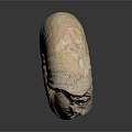 Ammonite Fossil With Spiral Shape And Textured Surface On Dark Background