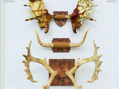Rustic Antler Wall Decor With Golden Natural Horns And Wooden Base On White Wall 3d model
