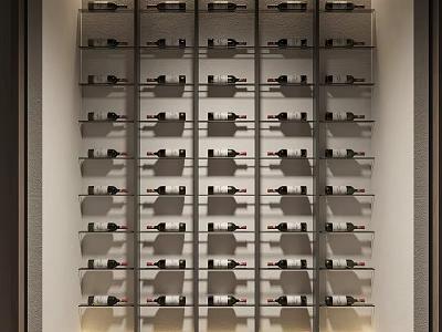 Modern Wine Cabinet Interior Design With Built in Multiple Shelves And Neatly Arranged Wine Bottles 3d model