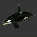 Modern Killer Whale Killer Whale Killer Whale 3d model