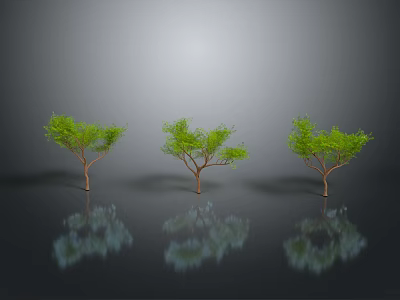 Three Green Trees Standing on Black Surface With Clear Reflections Against Gray Background 3d model