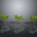 Three Green Trees Standing on Black Surface With Clear Reflections Against Gray Background 3d model