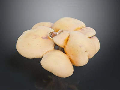 Fresh Organic Yellow Mushrooms Cluster As Natural Healthy Cooking Ingredients 3d model