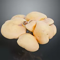 Fresh Organic Yellow Mushrooms Cluster As Natural Healthy Cooking Ingredients