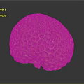 Golden Sea Urchin With Honeycomb Like Pores On Spherical Reflective Surface