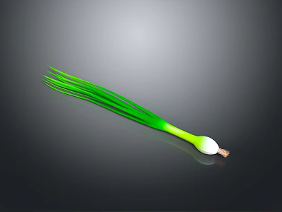 Fresh Green Onion With Green Leaves And White Bulb On Gray Background 3d model