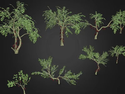 Multiple Green Plants With Different Forms Slender Trunks Lush Foliage And Vines 3d model