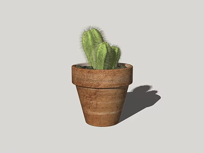 Green Cactus Potted Plant in Rustic Terracotta Pot for Indoor Decor 3d model