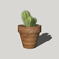 Green Cactus Potted Plant in Rustic Terracotta Pot for Indoor Decor