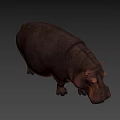 Realistic 3D Hippopotamus Figure With Detailed Skin Texture And Natural Standing Pose