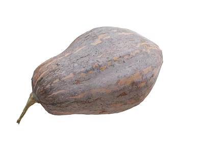 Pumpkin model 3d model Pumpkin model 3d model