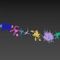 Various Natural Herbs Including Dandelion Tall Grass and White Seed Plants on Black Background