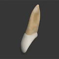 Abstract Organ Sculpture With Hair Like Yellowish And White Textured Structure