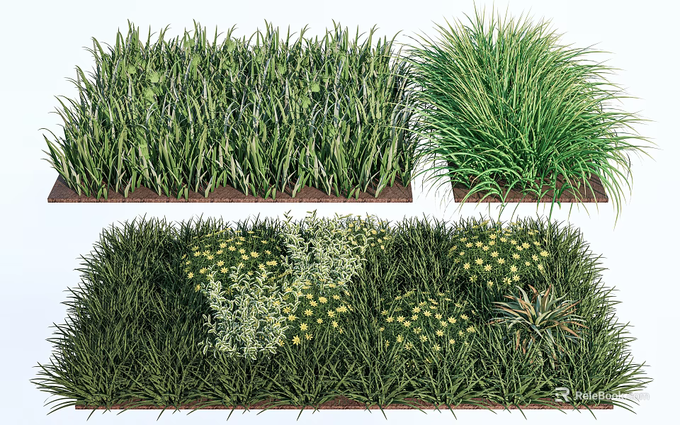 Various Green Grasses and Mixed Herbs with Yellow Flowers in Natural Garden Planting 3d model 