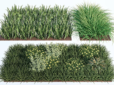 Various Green Grasses and Mixed Herbs with Yellow Flowers in Natural Garden Planting 3d model