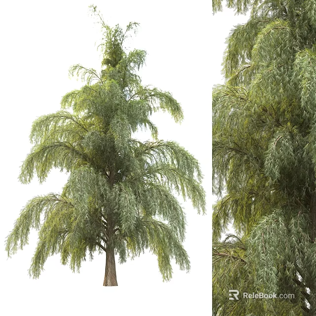 Garden Weeping Tree with Lush Green Foliage and Hanging Branches Full and Close Up Views 3d model 