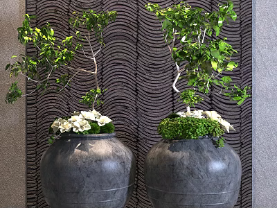 Bonsai Potted Plants in Gray Pots with Green Leaves White Flowers on Wavy Textured Wall 3d model