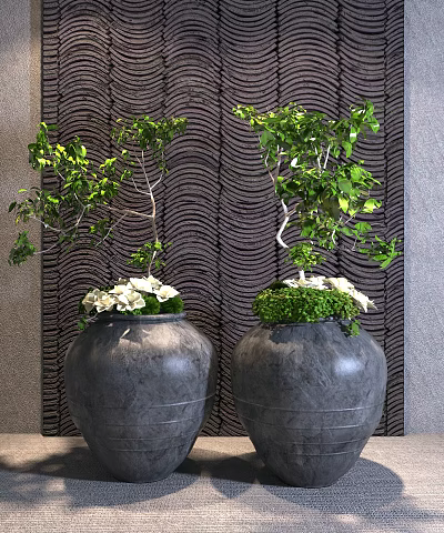Bonsai Potted Plants in Gray Pots with Green Leaves White Flowers on Wavy Textured Wall 3d model