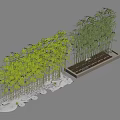 Bamboo 3d model