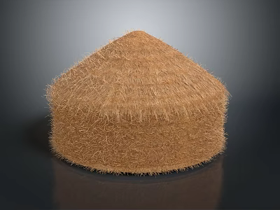 Traditional Conical Thatch Roof Building Structure With Circular Base And Natural Texture 3d model