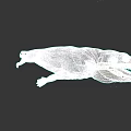 Realistic Prehistoric Aquatic Reptile 3D Model With Striped Skin Open Mouth And Sharp Teeth