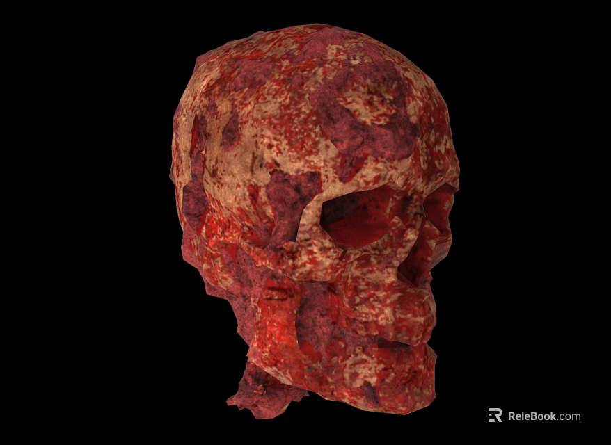 3D Rendered Biological Skull With Detailed Red Brown Texture On Dark Background 3d model 