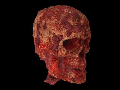 3D Rendered Biological Skull With Detailed Red Brown Texture On Dark Background 3d model