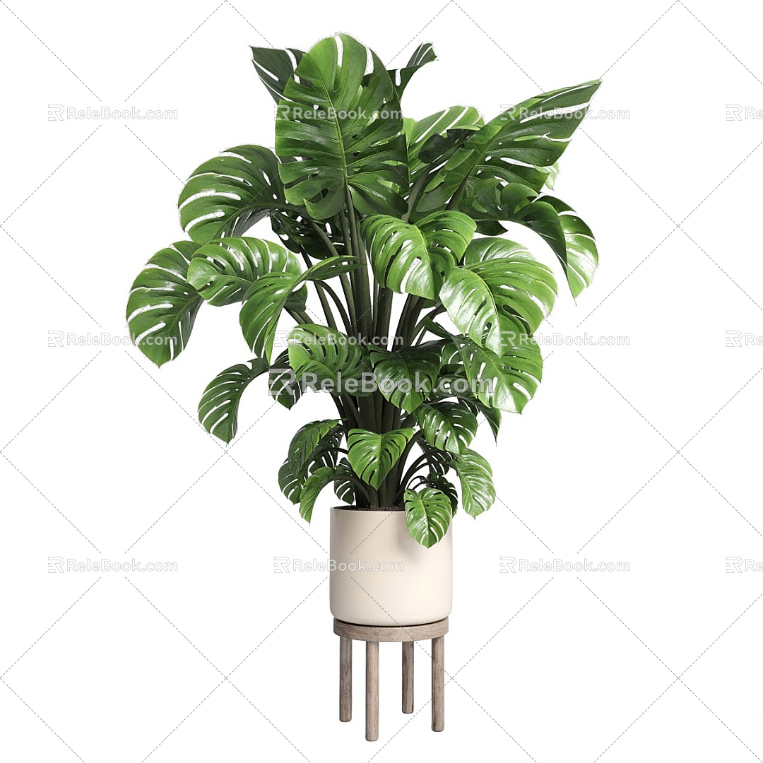 Modern Green Plant Bonsai 3d model