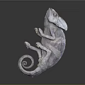 3D Rendered Chameleon with Grayish Purple Body Coiled Tail Posed on Dark Background