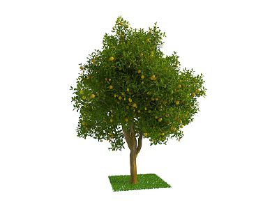 Vibrant Arbor With Green Leaves Yellow Fruits And Brown Trunk On Grass 3d model