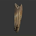 Dried Layered Brown Organ And Hair Structure With Natural Texture Detailed View