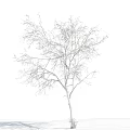 Leafless Tree With Snow Covered Trunk Against Blue Sky And White Clouds 3d model