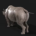 Realistic 3D Rhinoceros Model With Gray Skin Standing On Black Background