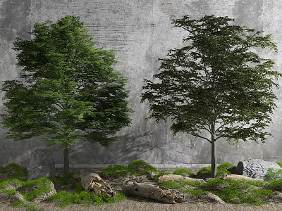 Tall Green Arbor Trees With Gray Wall Background And Stones Dry Grass 3d model