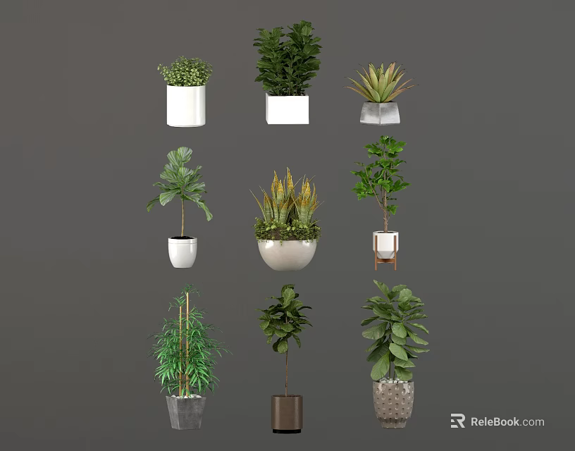 Variety of Indoor Green Plants in Different Decorative Planters and Pots 3d model 