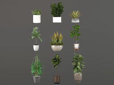 Variety of Indoor Green Plants in Different Decorative Planters and Pots 3d model