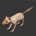 Detailed Light Brown Squirrel Model With Long Tail And Textured Fur On Dark Reflective Surface