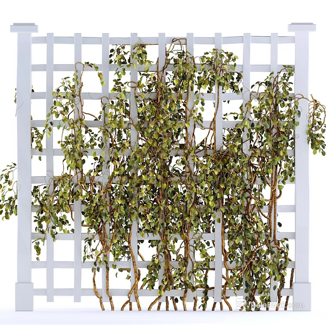 Green Vines With Lush Green Leaves Growing On White Lattice Trellis 3d model 