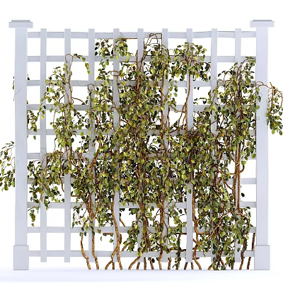 Green Vines With Lush Green Leaves Growing On White Lattice Trellis 3d model Green Vines With Lush Green Leaves Growing On White Lattice Trellis 3d model
