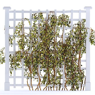 Modern Vine 3d model