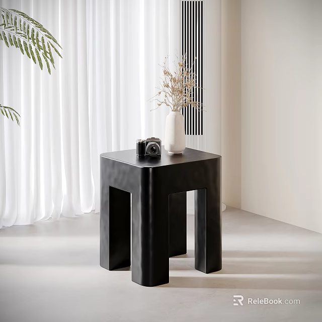 Black Sleek Side Table With Camera White Vase Dried Flowers Green Plants And White Curtains 3d model 