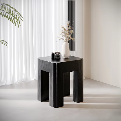 Black Sleek Side Table With Camera White Vase Dried Flowers Green Plants And White Curtains 3d model