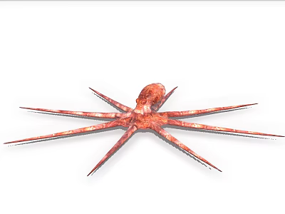 Vibrant Red Octopus With Long Stretching Tentacles As Marine Aquatic Animal 3d model