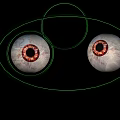 Detailed Human Eyes With Red Blood Vessels And Green Outline On Black Background