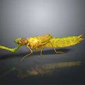 Green Mantis with Detailed Body Structure Predatory Forelegs and Reflection on Gray Gradient Background