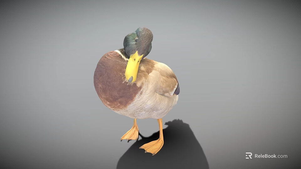 Wild Duck with Brown Feathers Green Head Yellow Beak Orange Feet Standing on Gray Background 3d model 