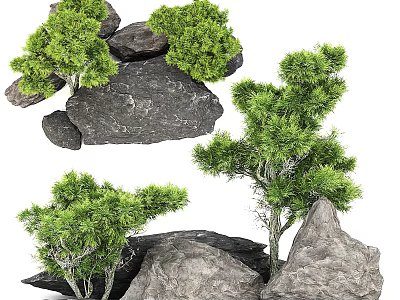 Natural Stone and Wood Decor Elements with Green Trees for Landscaping Design 3d model