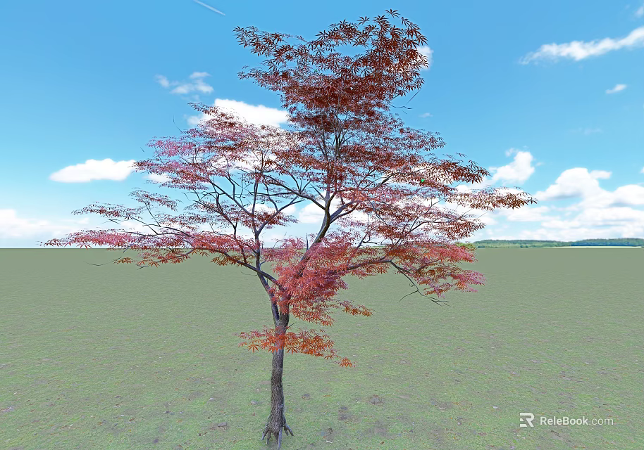 Deciduous Tree With Red Pink Leaves Dark Trunk Against Blue Sky White Clouds Green Grassland 3d model 